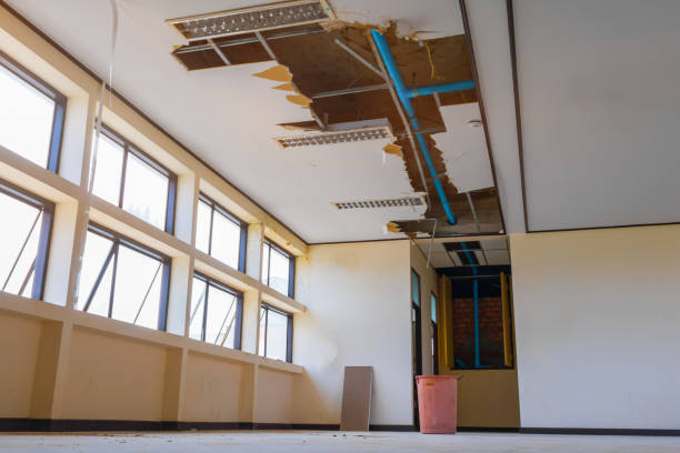 Best Basement water damage restoration  in Avon, PA