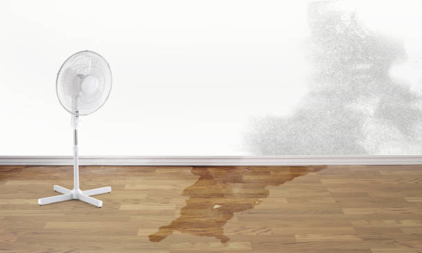 Best 24-hour water damage restoration  in Avon, PA