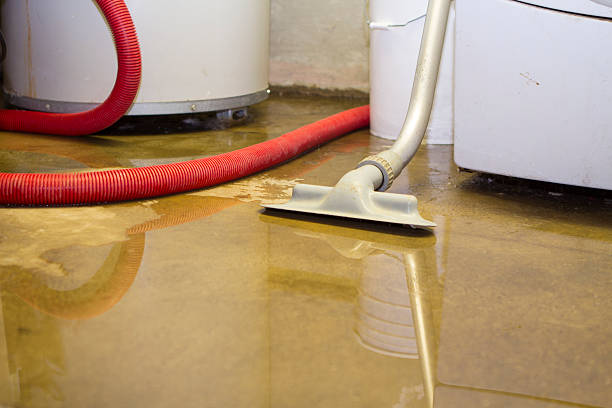 Best Ceiling water damage repair  in Avon, PA