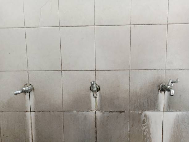 Best Residential water damage restoration  in Avon, PA