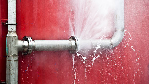 Best Local water damage restoration  in Avon, PA